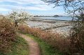 0208Ile aux Moines